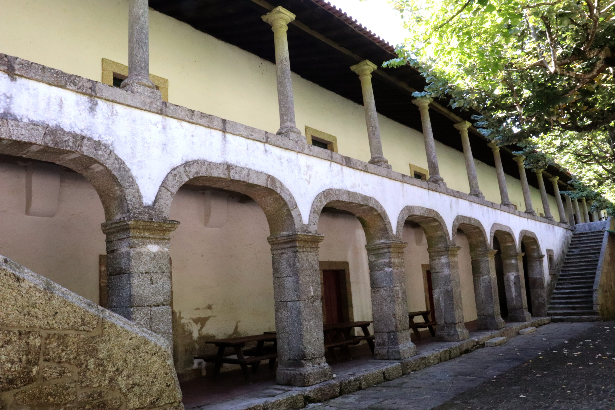 IMG_2058 copiar