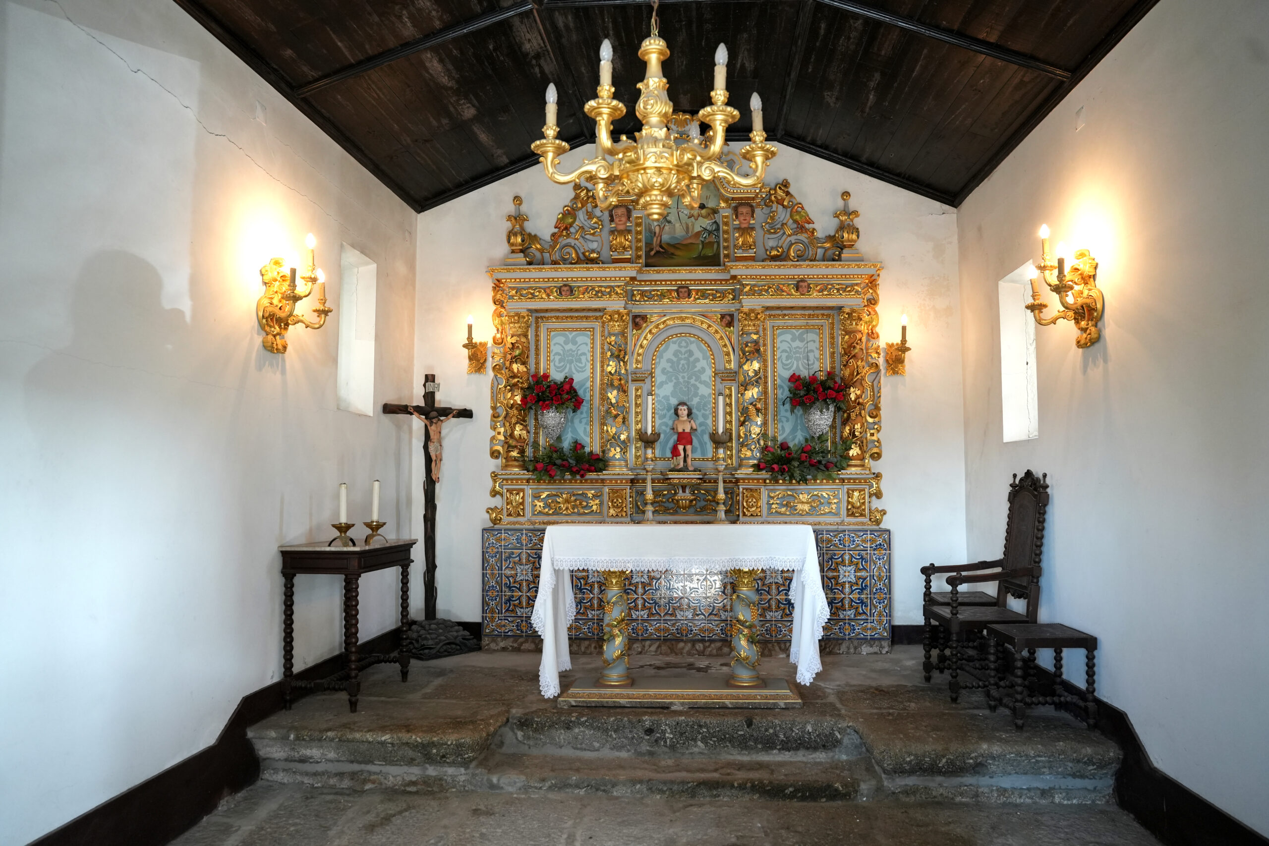 DSC00240 copiar