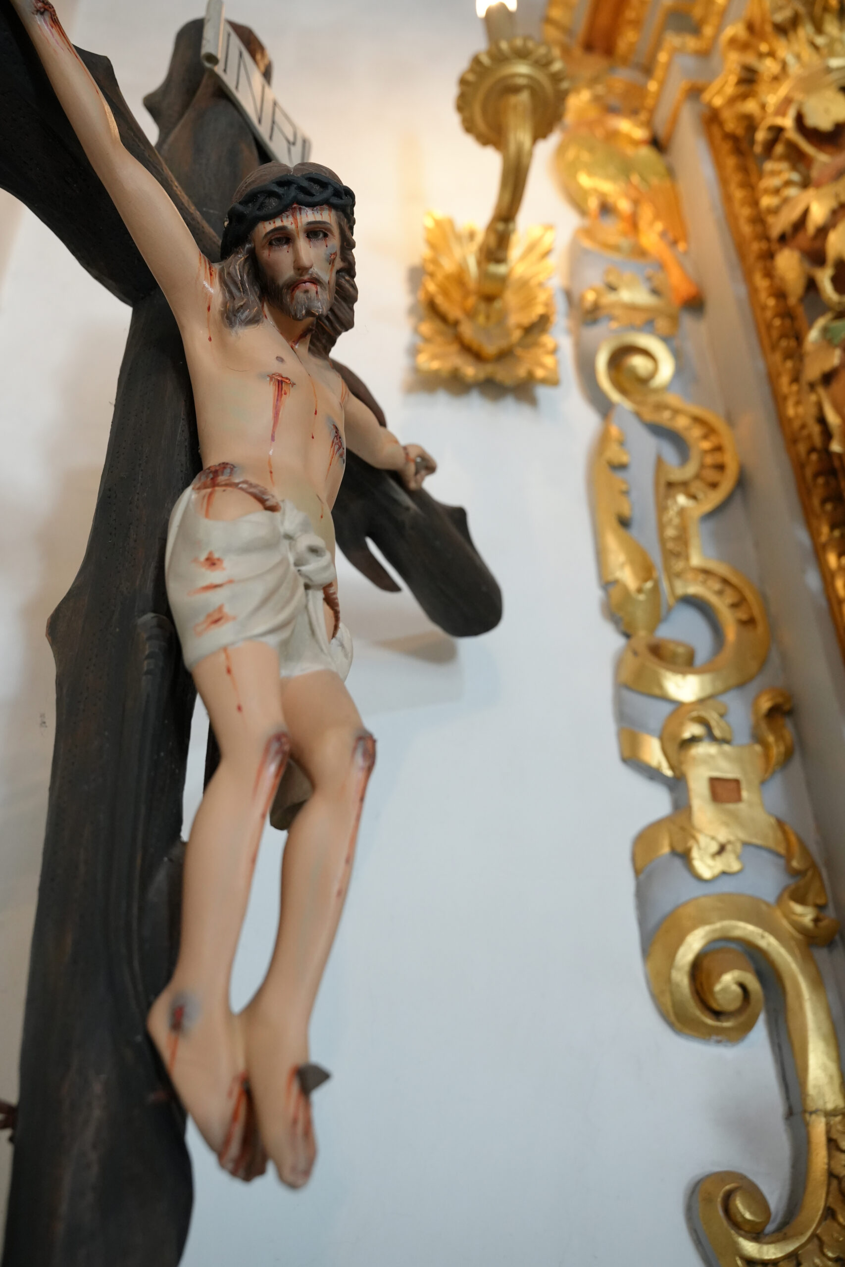 DSC00248 copiar