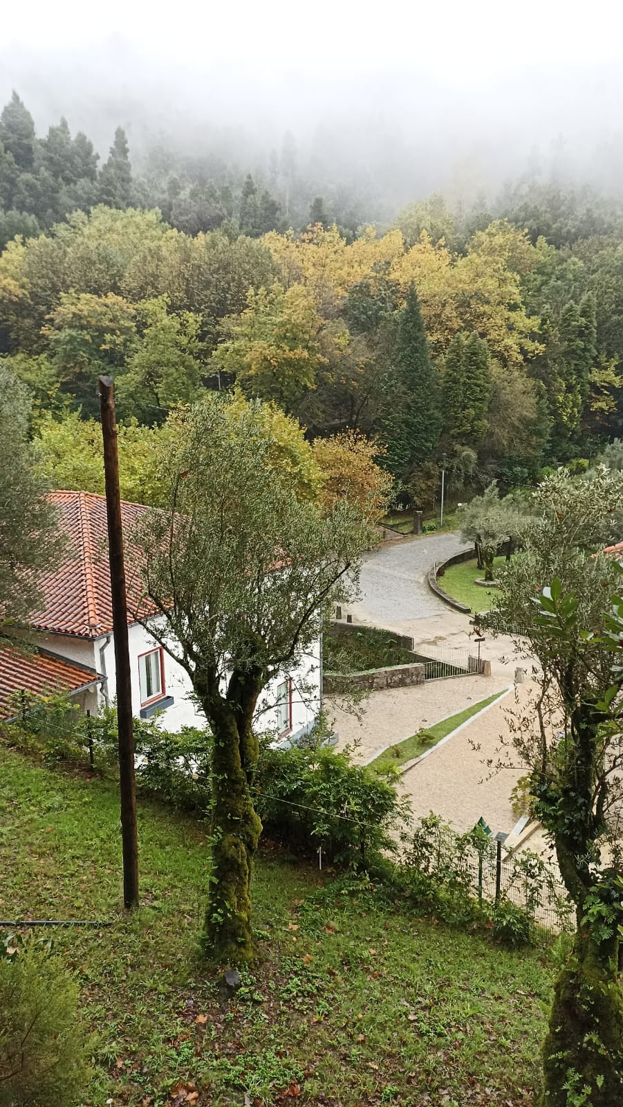 IMG-20241020-WA0008 (1)