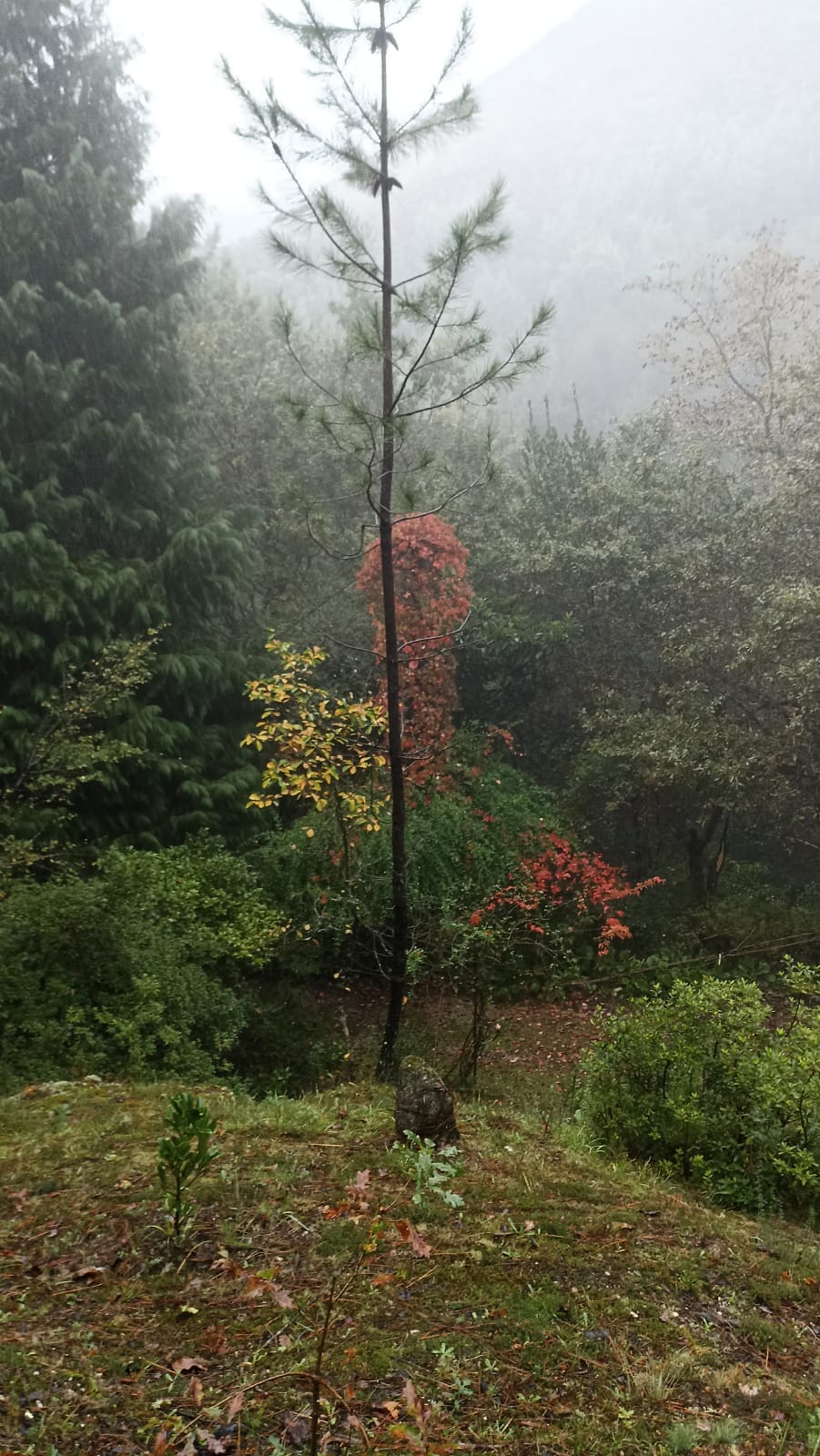 IMG-20241020-WA0033 (2)