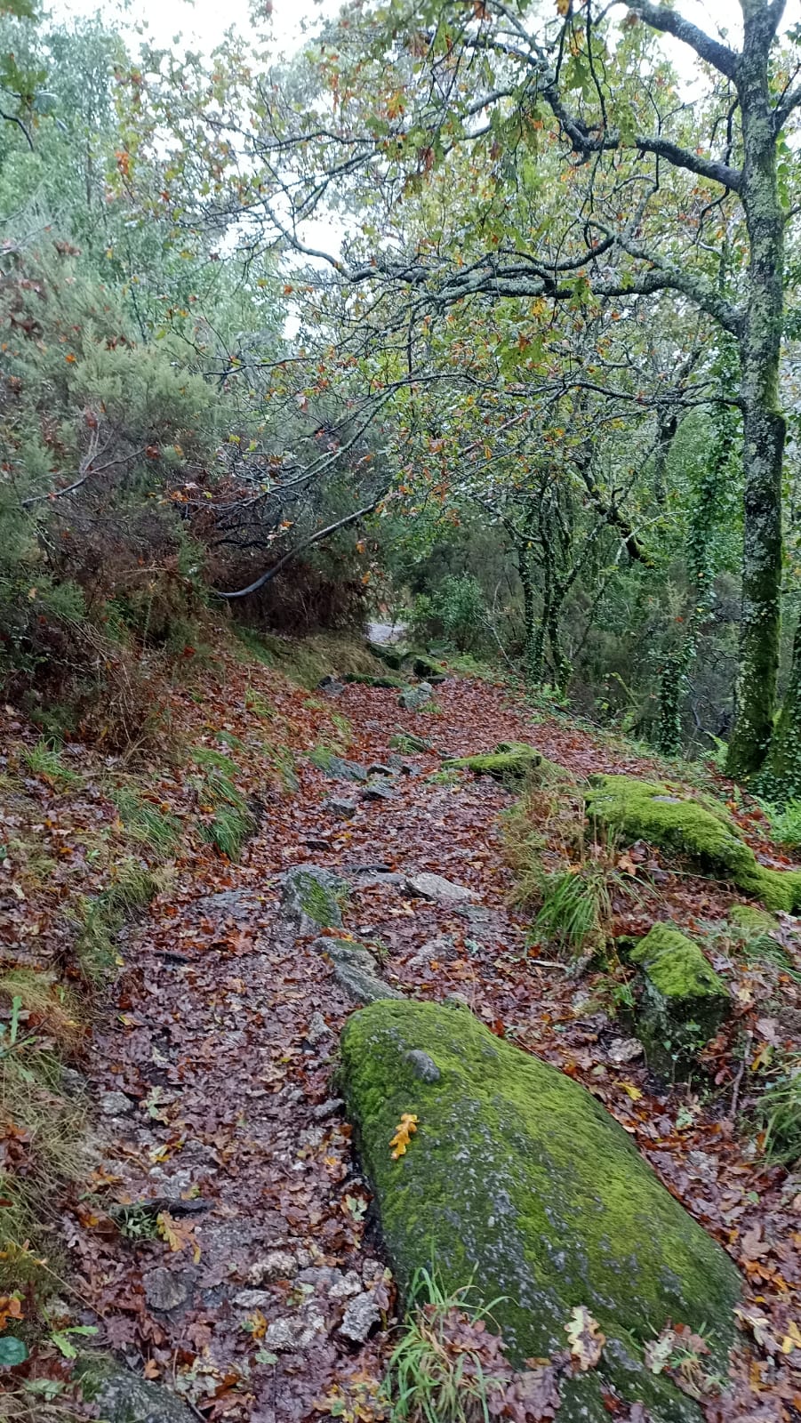 IMG-20241020-WA0039