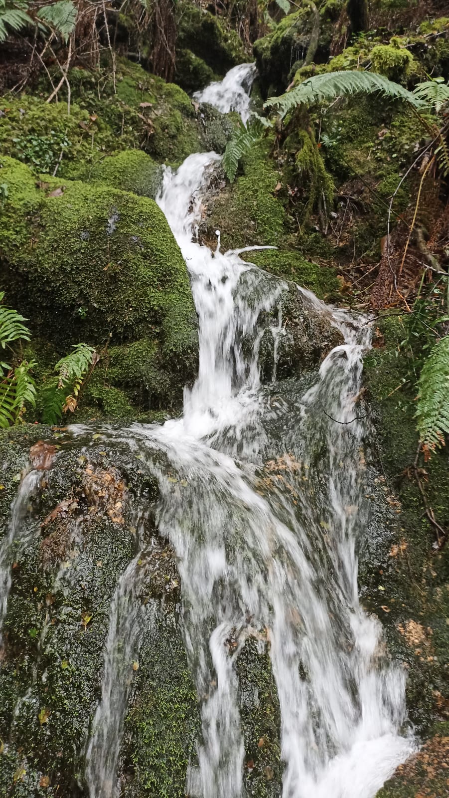 IMG-20241020-WA0056