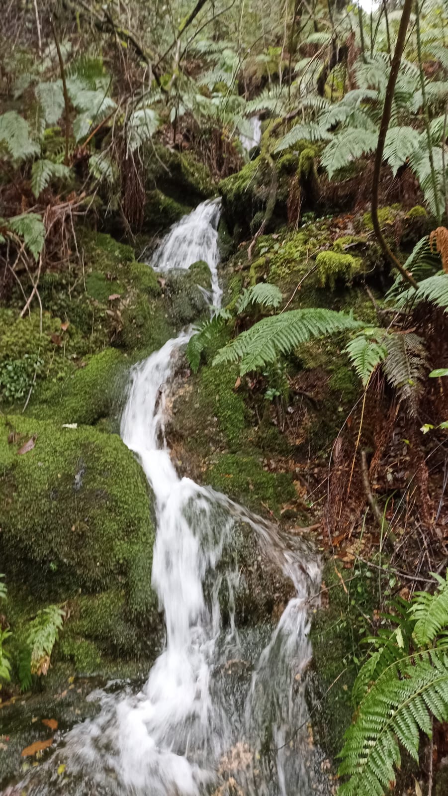 IMG-20241020-WA0057