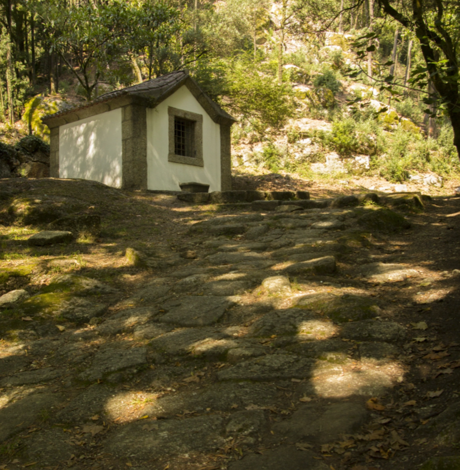 caminho do formigueiro