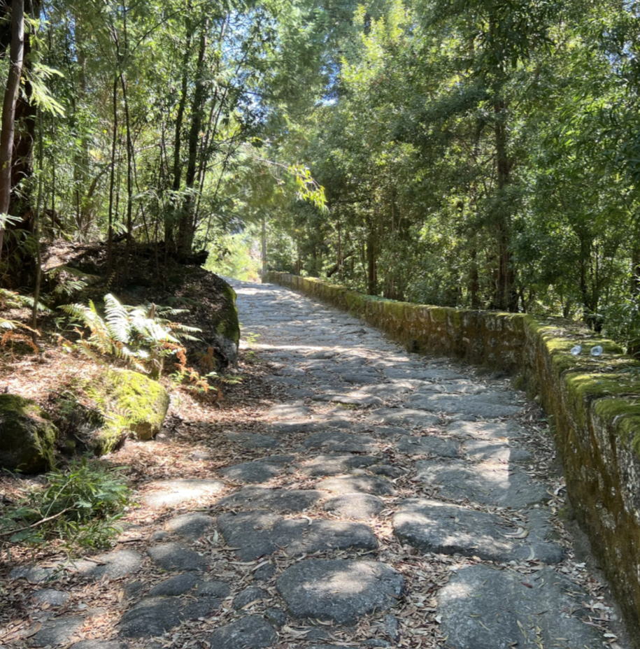 caminho do rebentaço